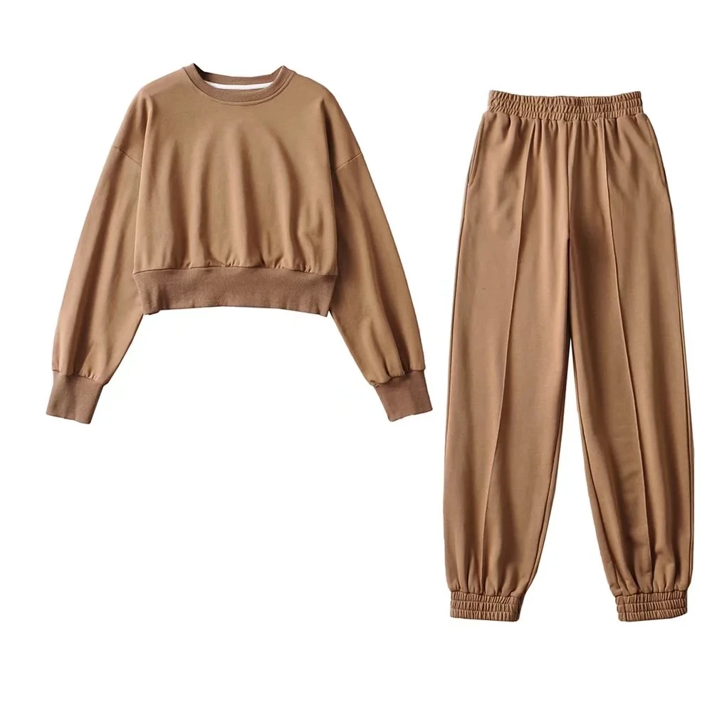 

Женские зимние толстовки с капюшоном, комплект из 2 предметов, короткие толстовки, спортивные костюмы, уличные повседневные женские брюки, комплект из двух предметов, 2021