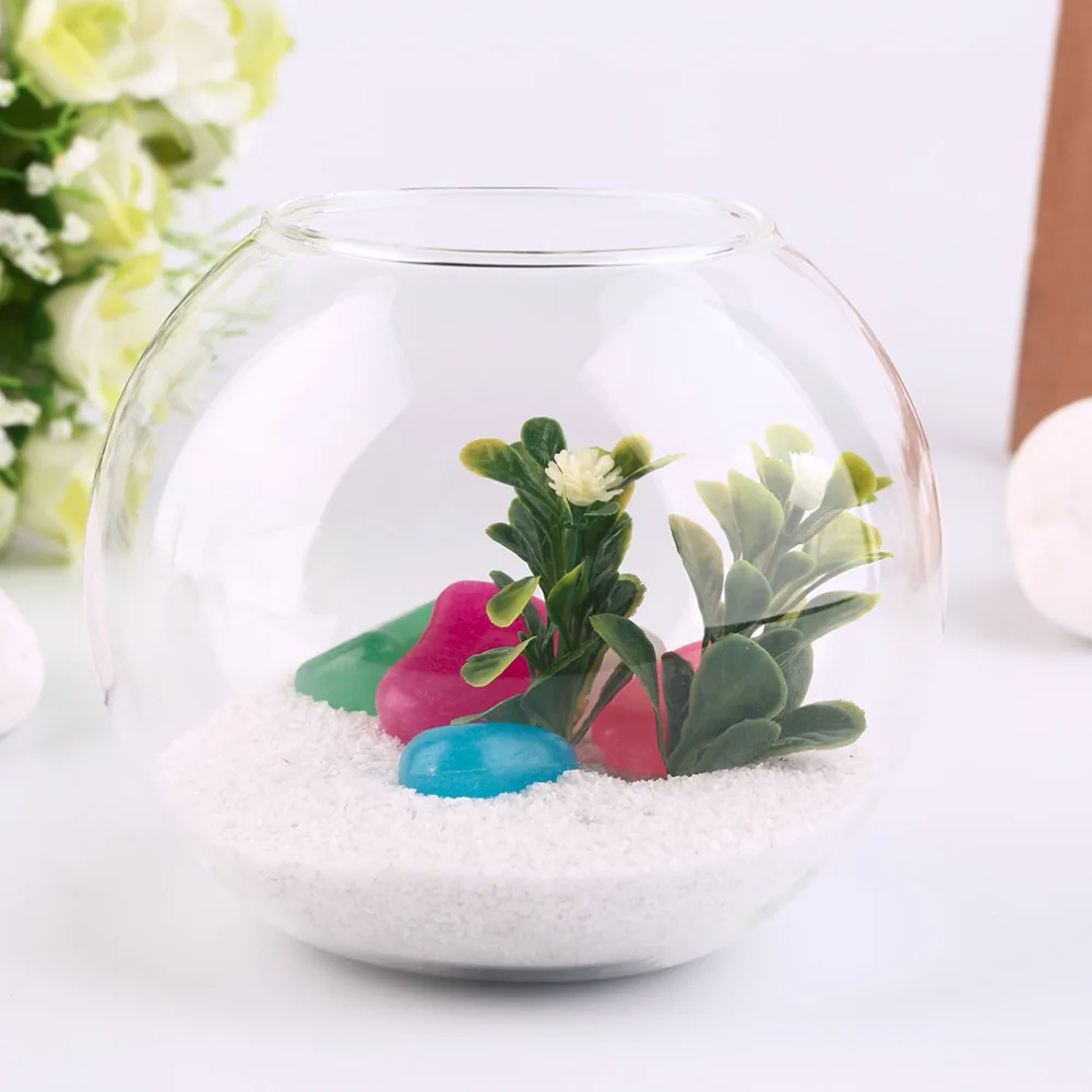 2018 1 Набор диаметр 10 см прозрачная микро миофит пейзаж стеклянная ваза бутылка с