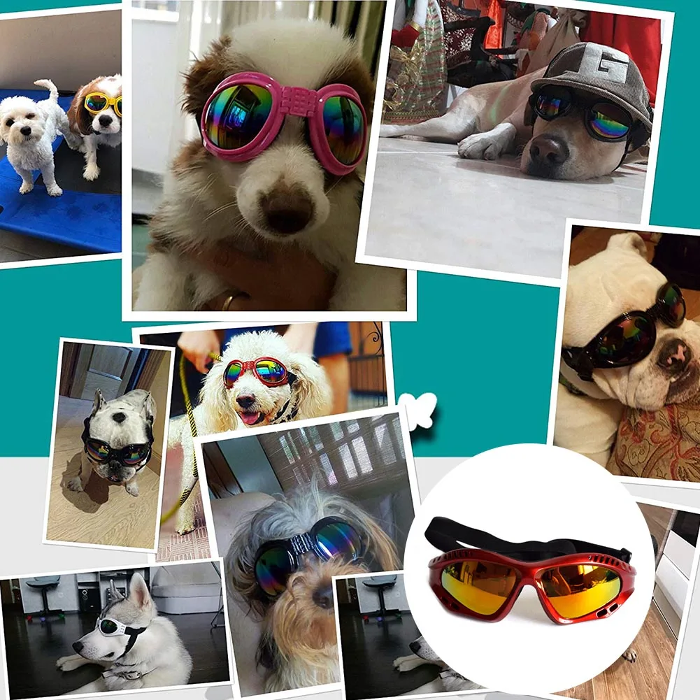 

2021 HOT Pet Dog Goggles Windproof Anti-Fog Waterproof Glasses Eyewear Dog Sunglasses Pet Supplies For Large Dog UV Protection