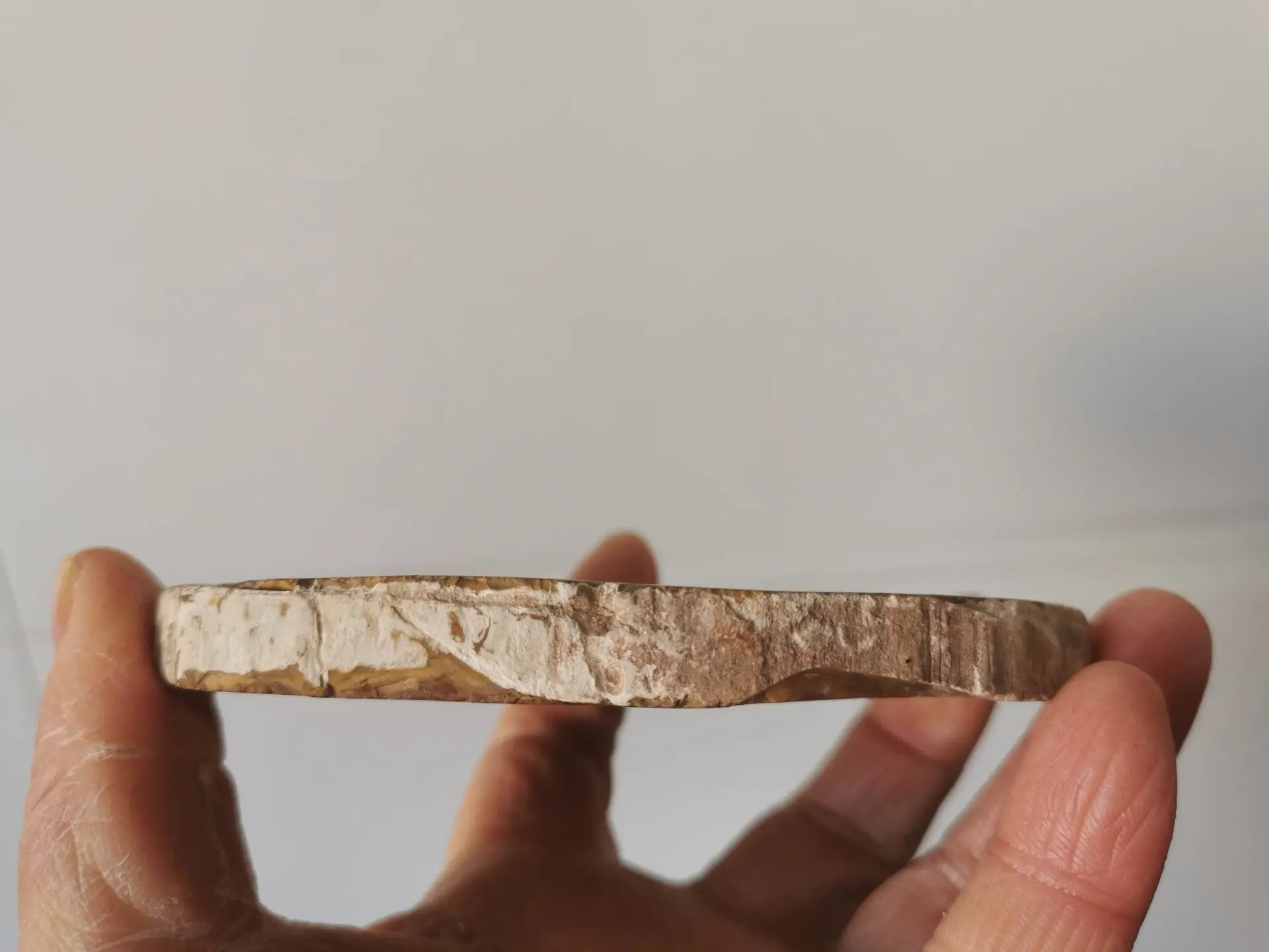 4 14 &quotокаменелое дерево круглые ископаемого образец из Мадагаскара|Камни| |