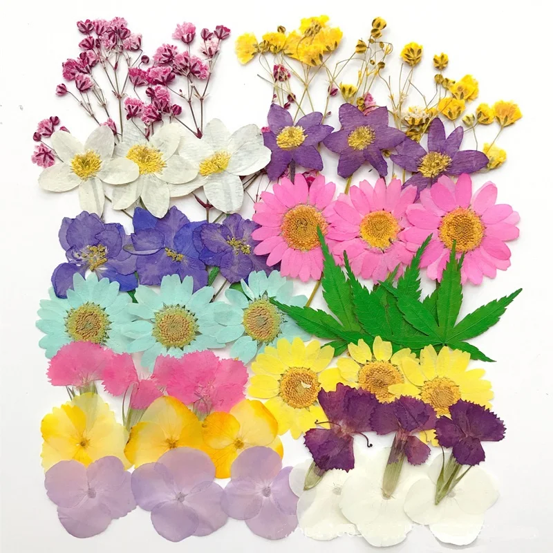 

New product DIY flower material and dried flower matching material package 1 pack (about 42 pieces)
