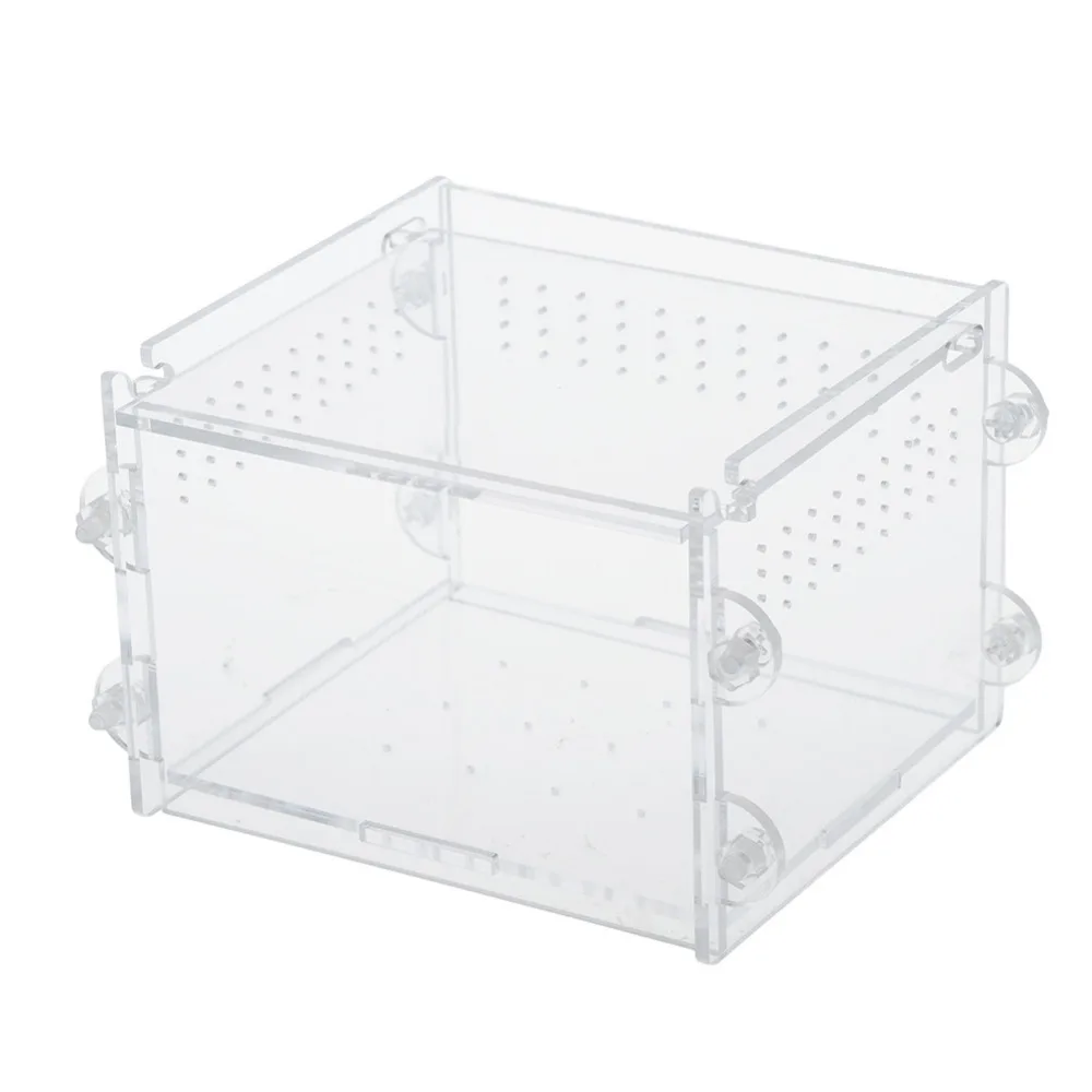 Акриловый контейнер для рептилии Террариум личинки-амфибры пауки муравьи