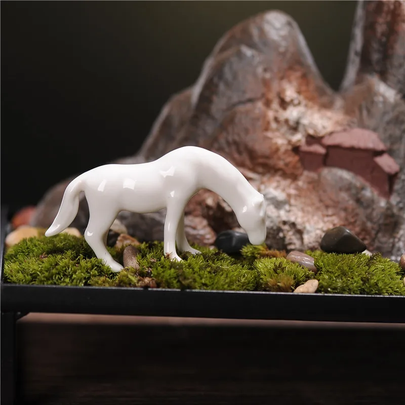 

Backflow, -, , , Wierook Waterval