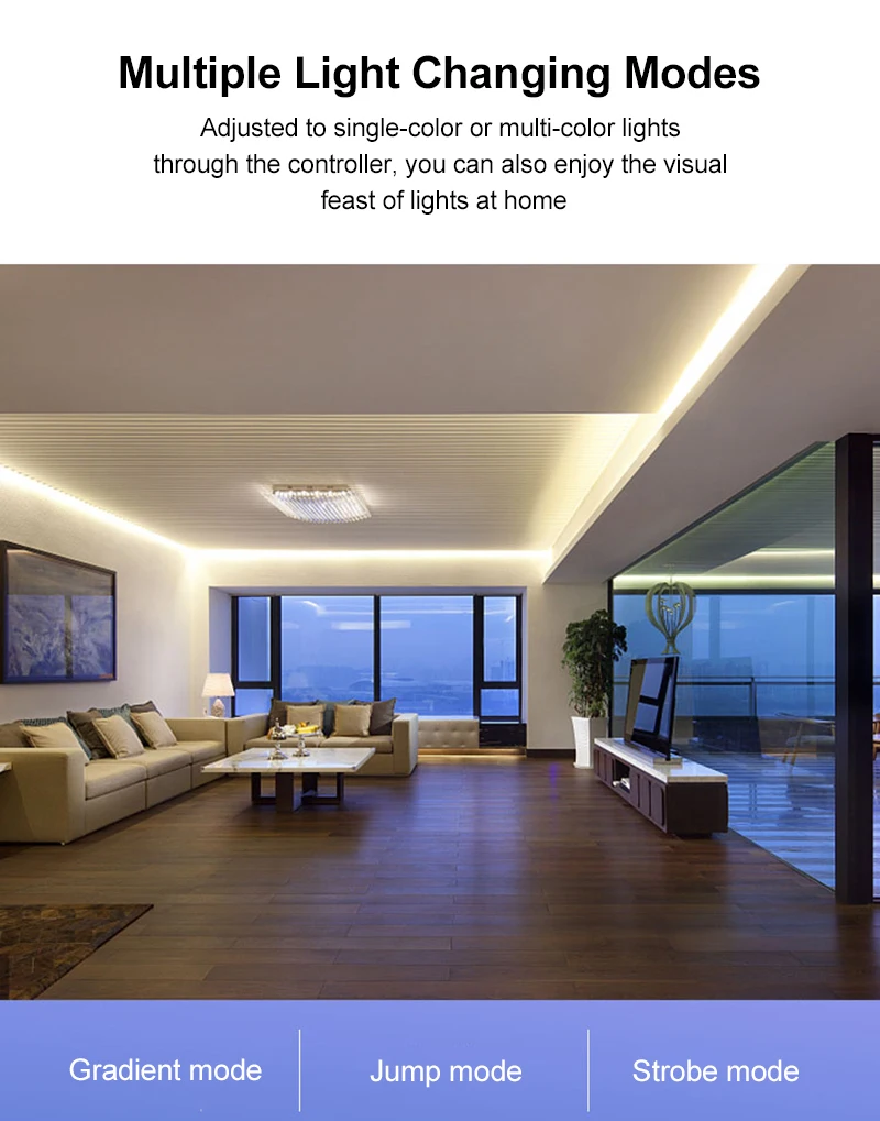 

Wifi Smart Light Belt Controller Colorful 24 Key Dual Load RGB Light By Magic Home Pro App With Controller Alexa Voice Control