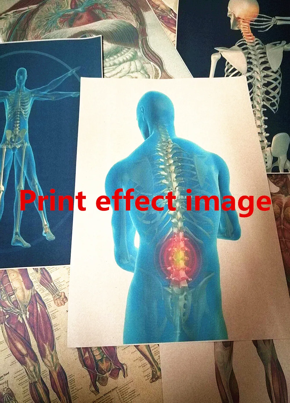 Ретро 3D рентгеновское сканирование человека анатомия плакаты скелетного