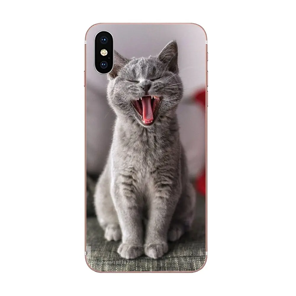 For Huawei Honor 4C 5A 5C 5X 6 6A 6X 7 7A 7C 7X 8 8C 8S 9 10 10i 20 20i Lite Pro Soft Capa Cover Case Little Kitten Cute Cat | Мобильные
