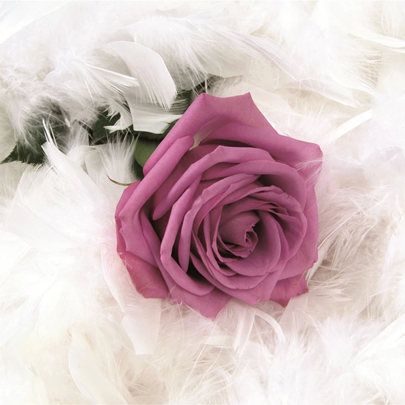 Настенная роспись на заказ современная модная картина с изображением роз цветов