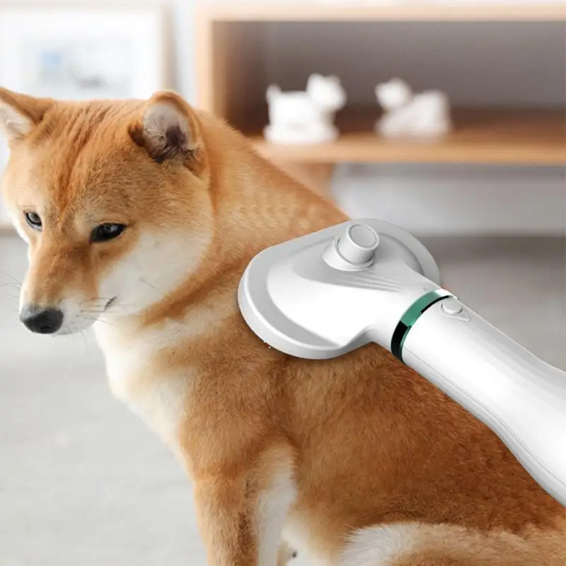

Electric Pet Hair Dryer Dogs Hair Blowing Machine Grooming Tool Quick-drying Hair Blowing Artifact For Puppies And Kittens