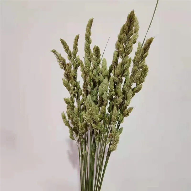 

30pcs Dried Pampas Grass Decor Wedding Flower Bunch Natural Plants for Home Christmas Decorations