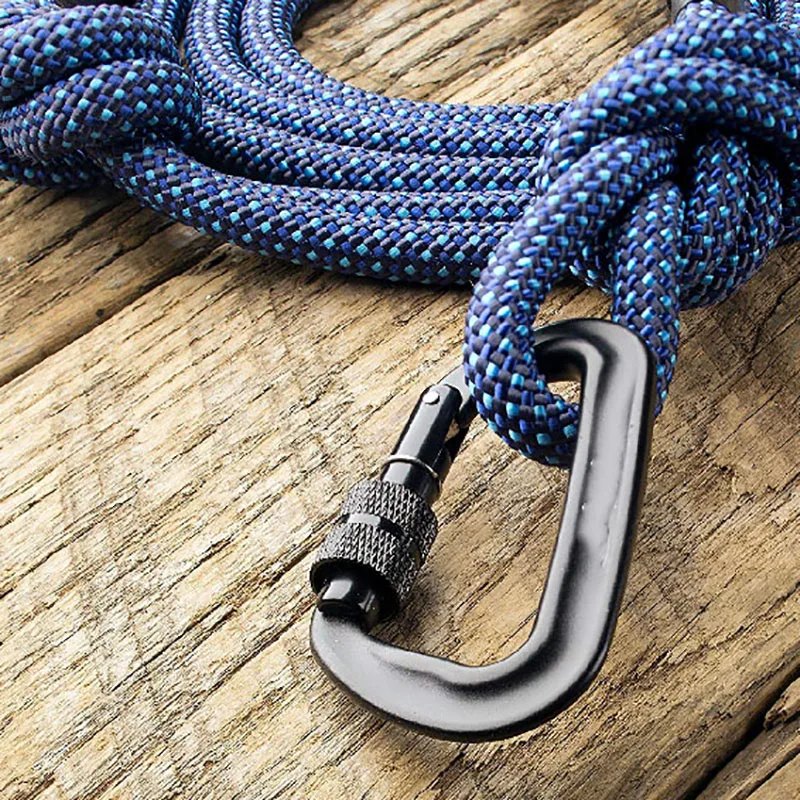 

2021 Dog Leash Reflective Heavy Duty Climbing Rope Leash For Medium Large Dog Nylon Rope Training Leash Slip Lead Strap