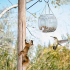 Акриловая кормушка для птиц, подвесная кормушка для кормления, прозрачная кормушка для птиц, водонепроницаемая прочная прозрачная круглая коробка для еды