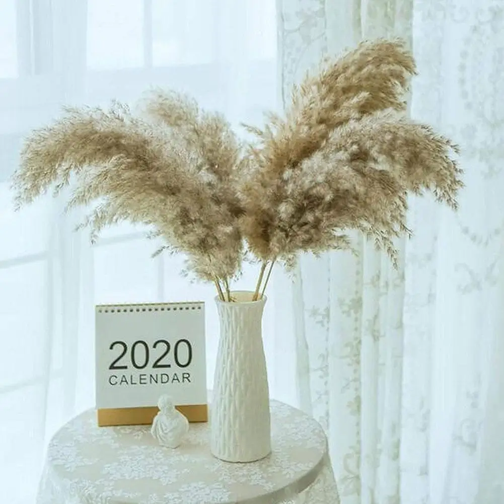 

1pc Reed Grass Dried Flower Home Decoration Natural Small Plants Flower Phragmites Wedding Dried Grass Pampas Artificial De N0P3