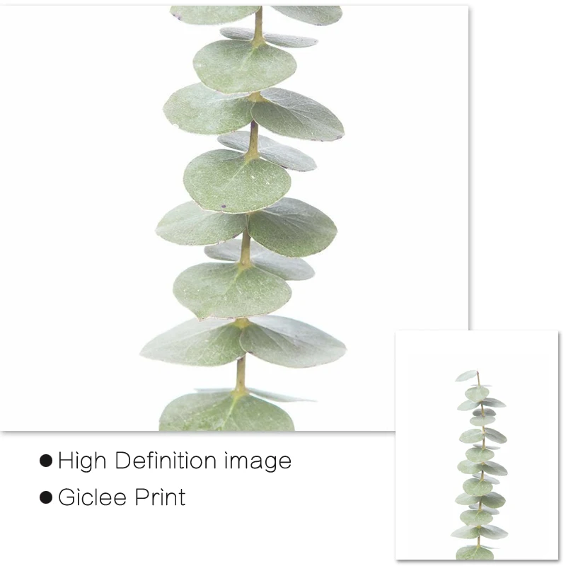 Эвкалипт печать Современная фермерская стена искусство ботанический постер