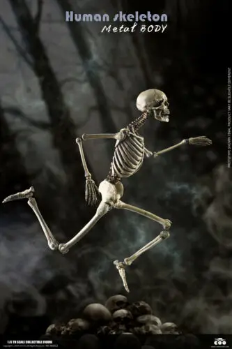 

1/6 Best-selling toy model accessories 12 inch doll with brain in stock