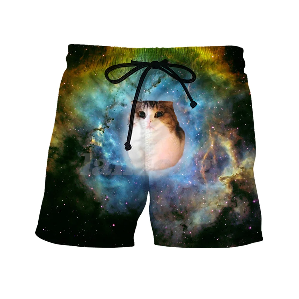 Футболка мужская оверсайз с 3D-принтом кота забавная тенниска графическим