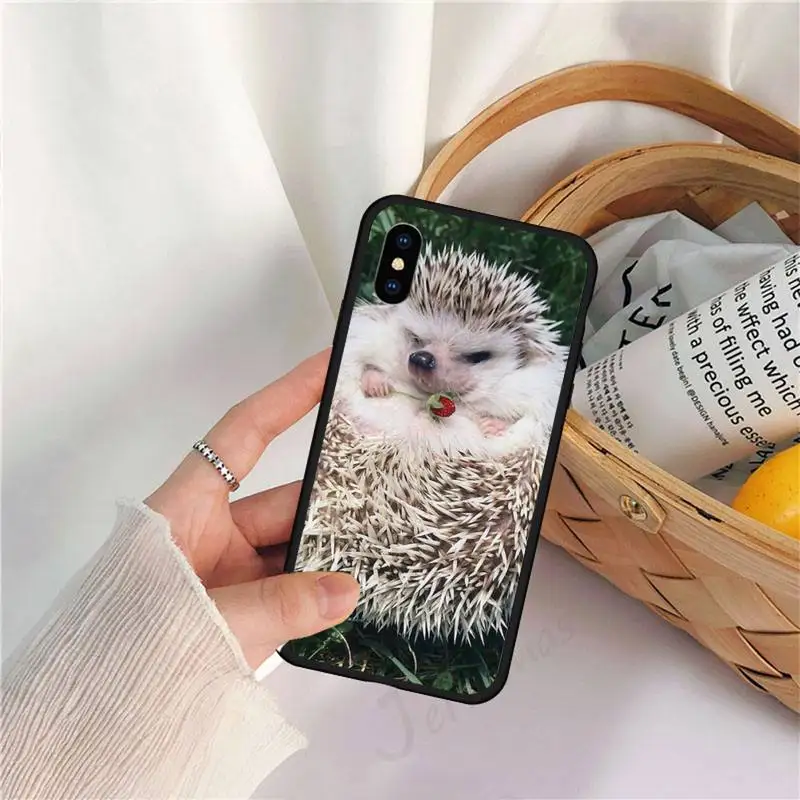 

Hedgehog cute animal Phone Case for iPhone 11 12 pro XS MAX 8 7 6 6S Plus X 5S SE 2020 XR