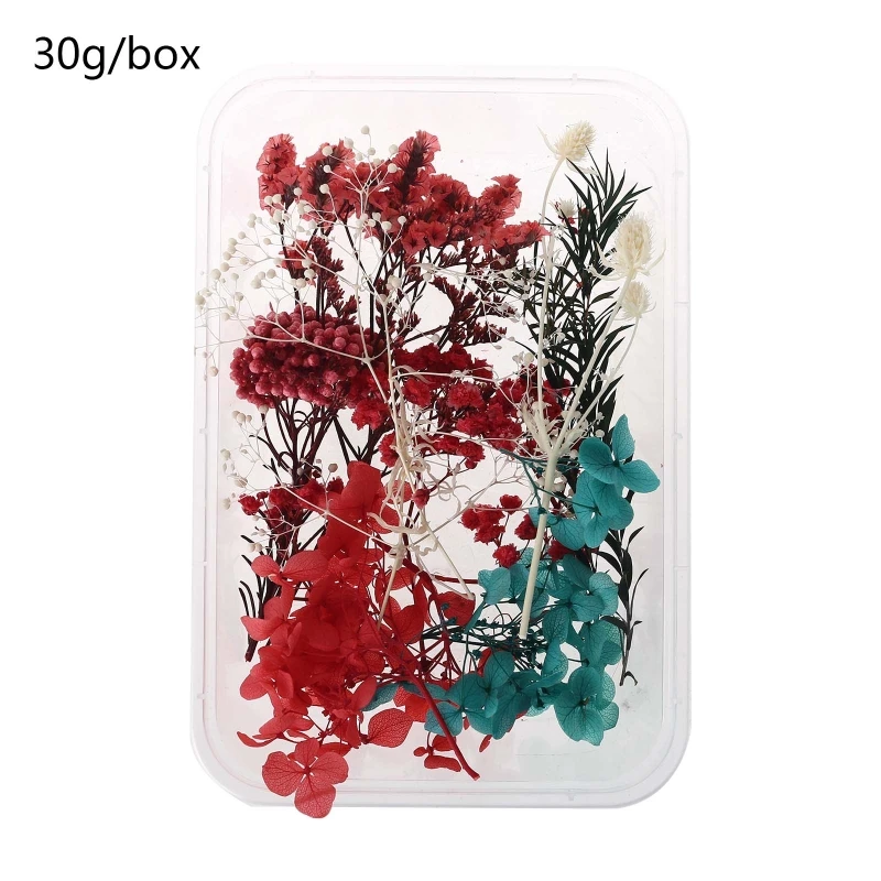 

1 Box Real Mix Dried Flowers for Aromatherapy Candle Resin Jewellery Dry Plants Pressed Flower Making Craft DIY Accessor