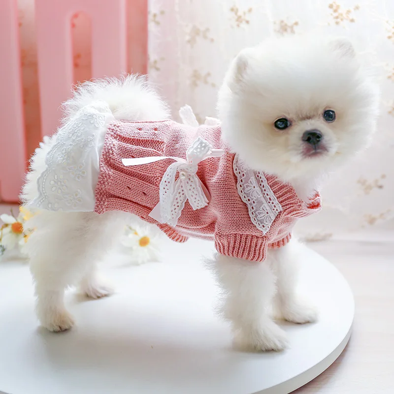 

Dog Sweater Dress Cute Bowknot Lace Dog Dress Princess Skirt Winter Pet Clothes Cat Yorkshire Poodle Pomeranian Costume Clothing