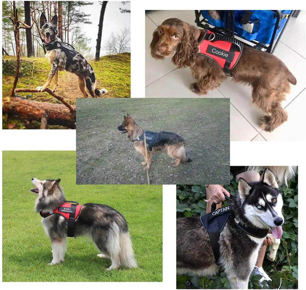 FML домашнее животное жгуты персонализированные пользовательские патчи этикетка