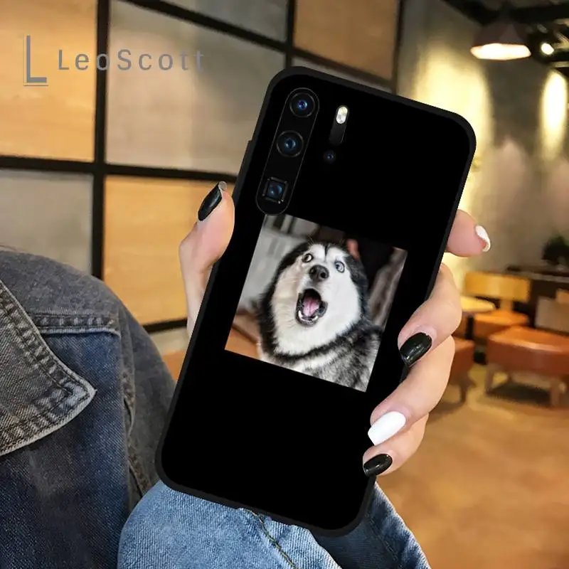 

Funny animal expression dog cat bird Phone Case For Huawei honor Mate P 9 10 20 30 40 Pro 10i 7 8 a x Lite nova 5t