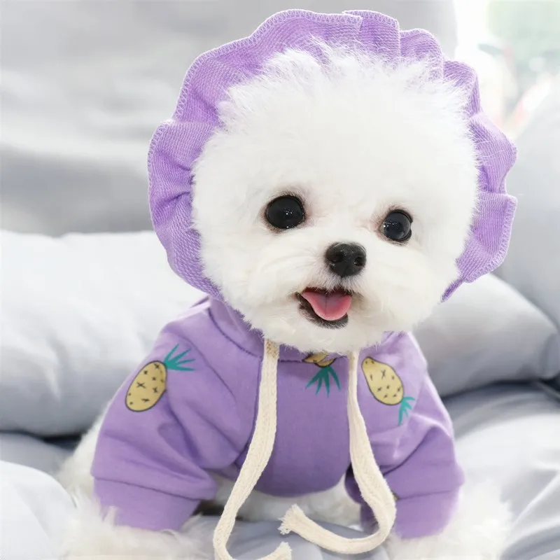 Новинка 2020 одежда для собак толстовка с капюшоном зимняя теплая Милая маленьких