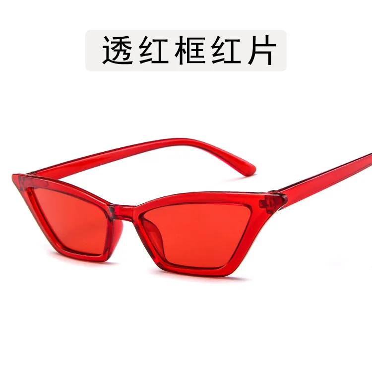 

Eyewear & Accessories