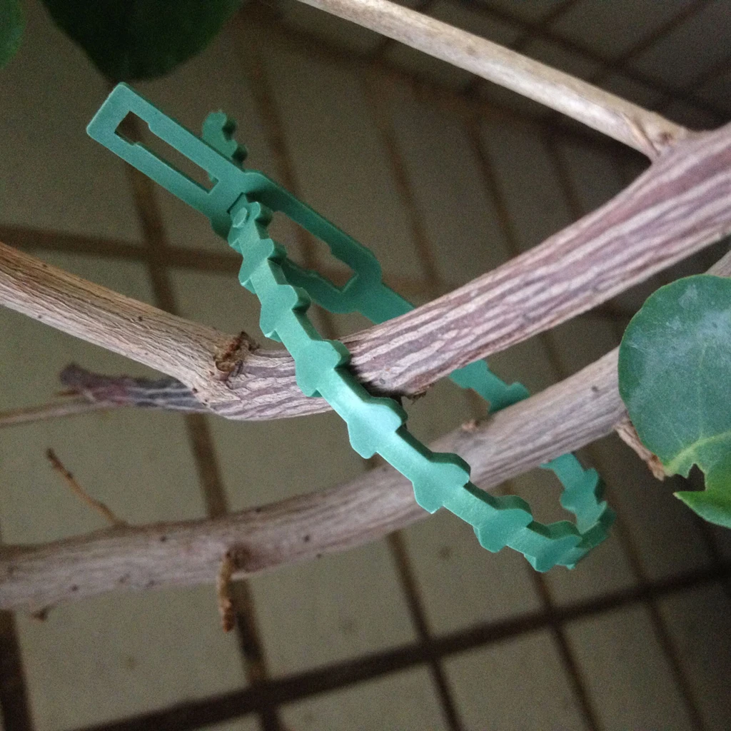 Пакет 30 шт пластиковые кабельные стяжки Садоводство крепления растений кусты