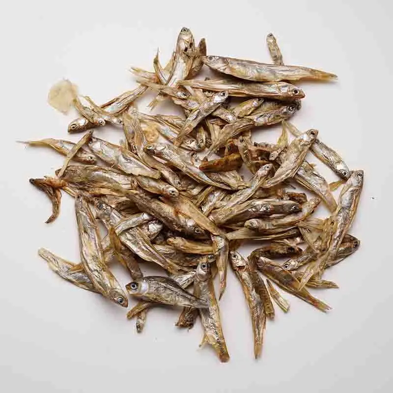 Brazilian Tortoise Turtle Food Feed Sticks Granules Fish Freshwater Hot Dried Bread Terrapin Worms Shrimp Aquarium Rep X5K6 | Дом и сад