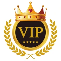 customized payment link for vip customers