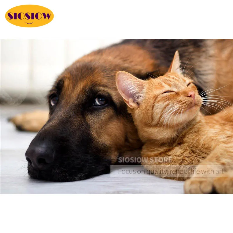 Набор для алмазной вышивки 5d сделай сам картина с изображением собаки и кота