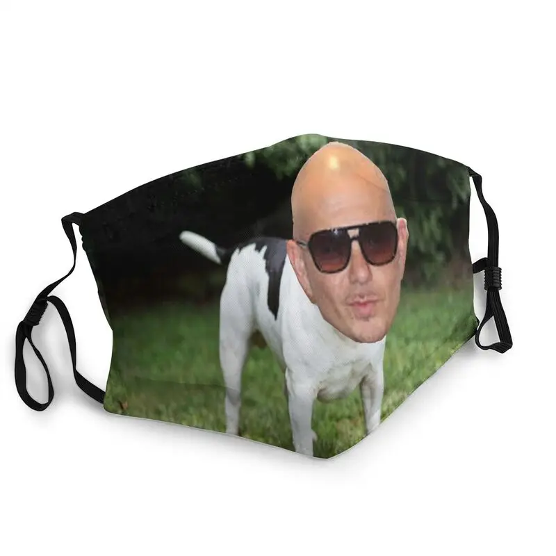 

Cute Pitbull Dog Reusable Mouth Face Mask Adult Animal Pet Anti Haze Dust Mask Protection Cover Respirator Muffle