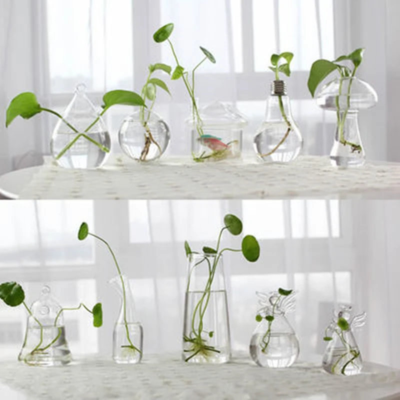 

Creative Hand Made Glass Vase Transparent Hydroponic Flower Bottle Indoor Gardening Living Room Home Desktop Art Decoration