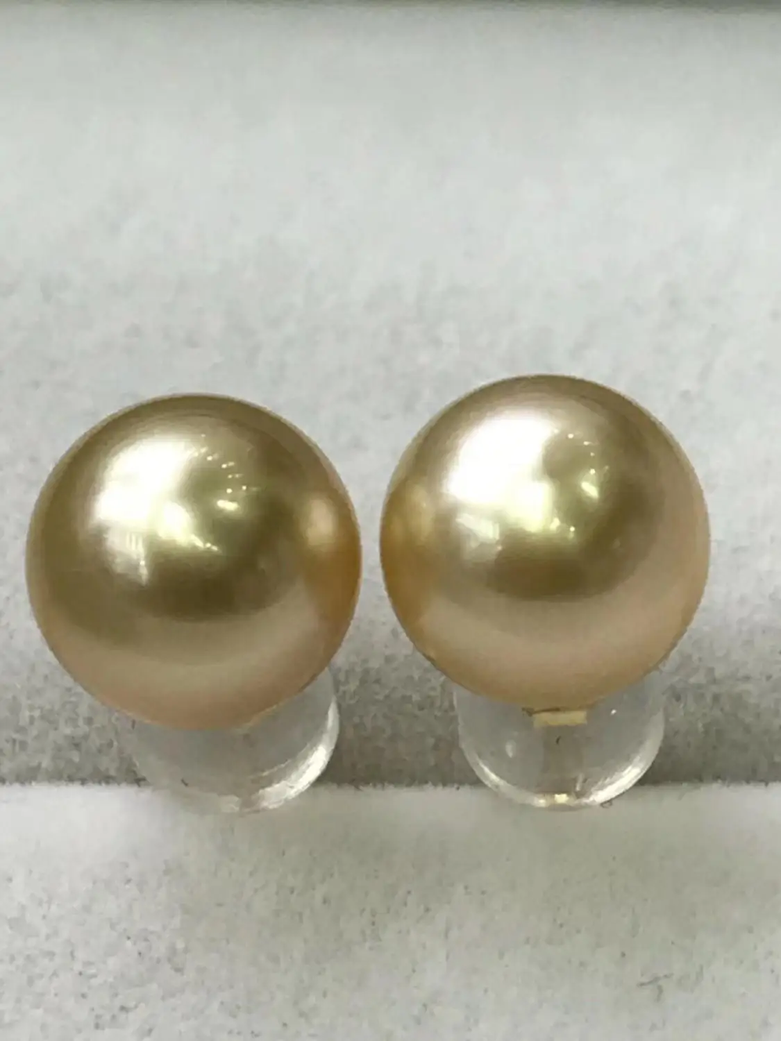 

charming pair of 10-11mm south sea round gold pearl earring 18/ k
