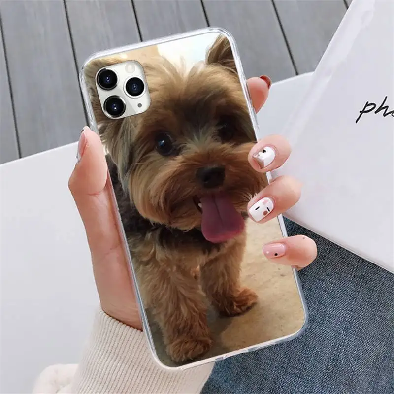 

Yorkshire Terrier dog Phone Case For iphone 12 5 5s 5c se 6 6s 7 8 plus x xs xr 11 pro max mini