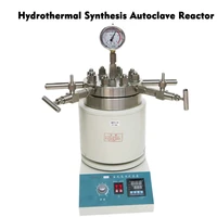 hydrothermal synthesis autoclave reactor 250ml tabletop high pressure stainless steel reaction kettle 220v