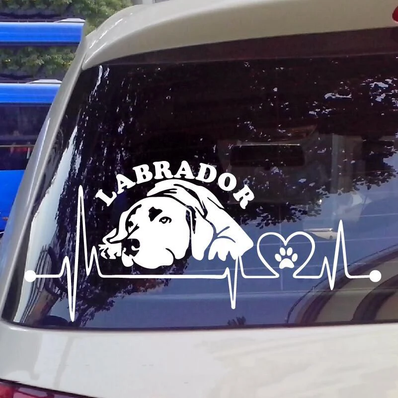 

13,5*30 см Лабрадор Точная резка виниловая наклейка Милая интересная фотография грузовик автомобиль