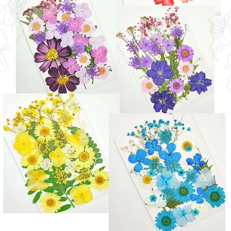

Dried Flowers Pressed Scrapbook Bookmark Card Making DIY Art Craft Decor Supply Decoration Home