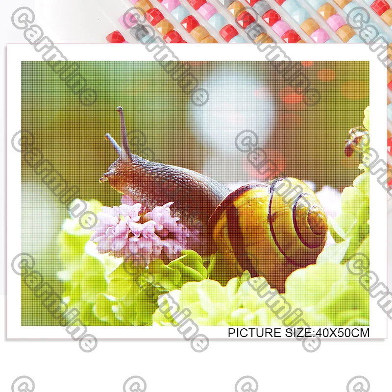 

Diy Diamond Painting Snails Mushrooms Animal Plant Square Diamond Round Diamond Decoration Customizable Wall Art Decoration