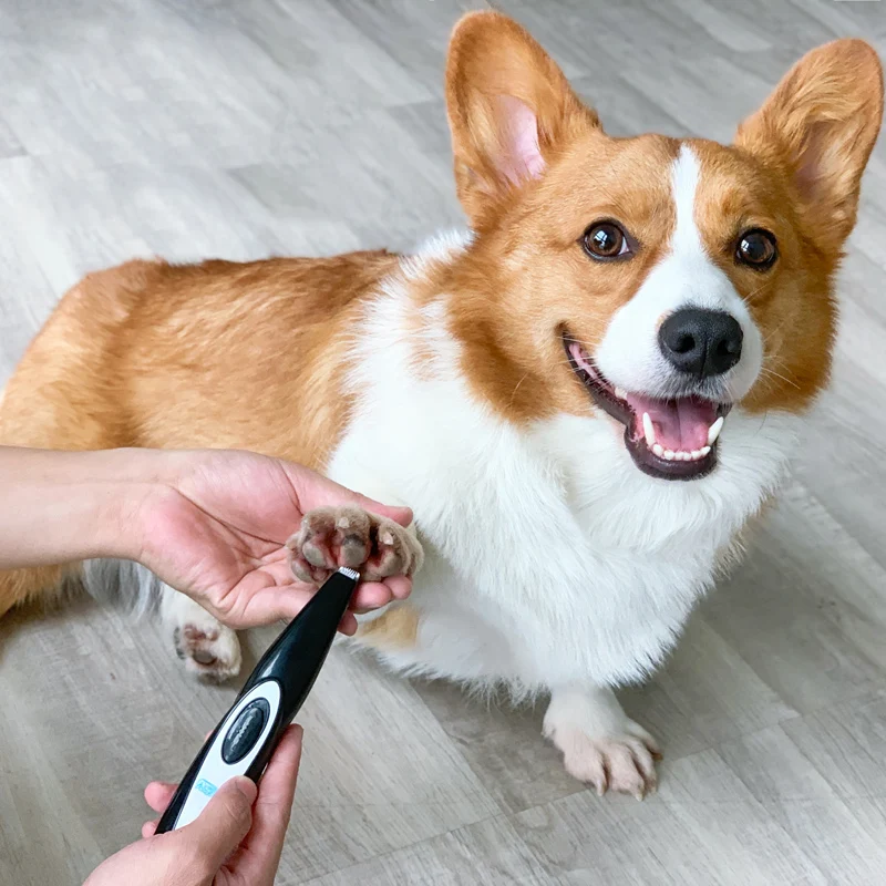 

Dog shaving machine pet hair clipper hair professional cat hairs trimmer dogs clippers grooming low noise pet animal removal