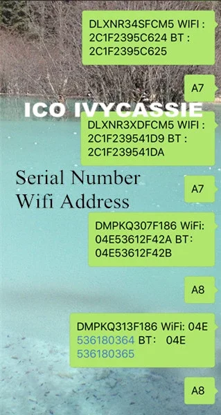 А8/A8X/A9/A9X/A10/A11 SN + Wifi BT серийный для iPad 6 Air2/2017/2018/Pro разблокированный iCloud Mac-WiFi адрес