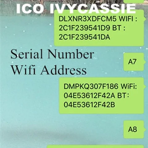 Для iPad разблокированный iCloud серийный номер SN Wifi адрес для iPad 2/3/4/5/6/Air1/Air2/mini1/mini2/mini3/Pro A5 A6 A7 A8 A9 A10 A2197
