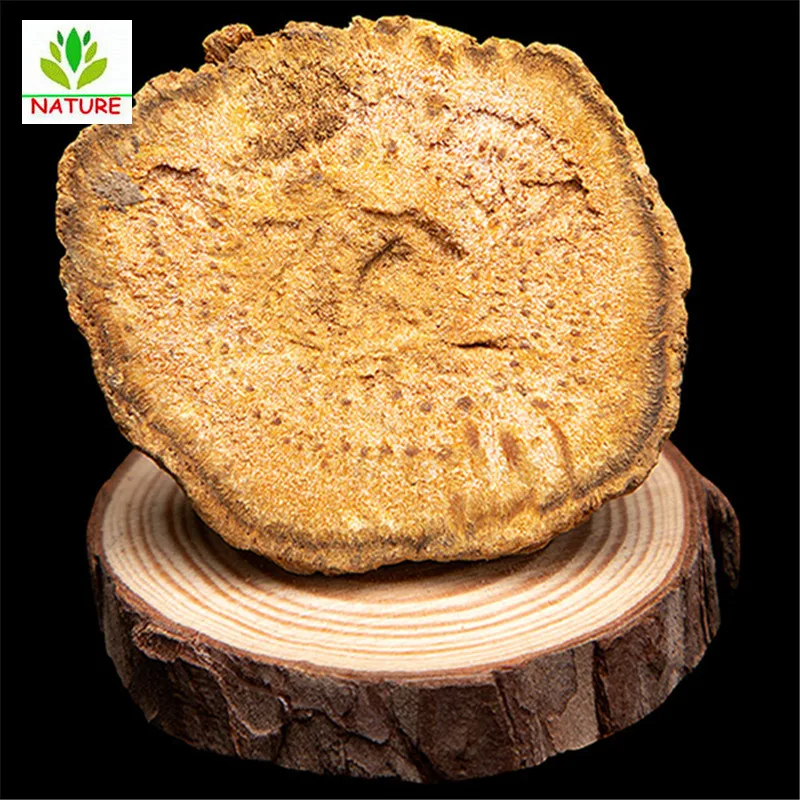 Da Huang Dahuang Radix et Rhizoma Rhei ревень| |