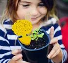 Ловушка для мух Двусторонняя желтая, приманка для растений, цветов, овощей, фруктов, комаров, мух, 10 шт.