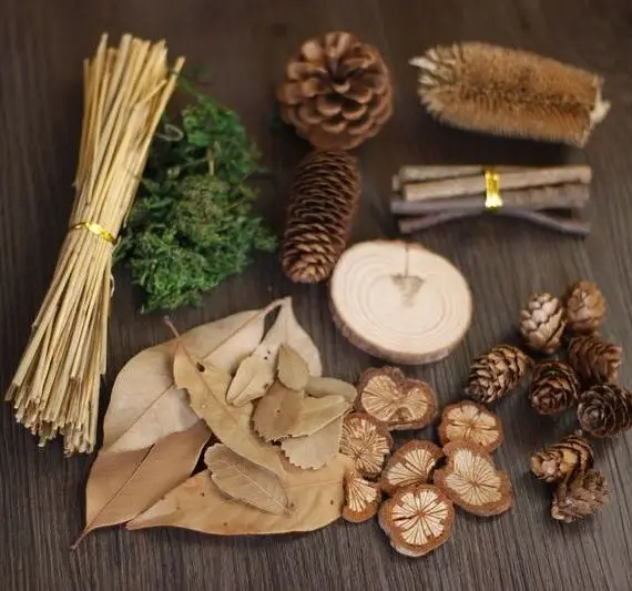 

10 шт. Ретро реквизит для фотосъемки лес детский набор Ретро реквизит для фотосъемки сосновый конус лист