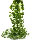 Лиана ВеснаОсень, 2.5 метра, 5 шт в связке, искусственная зелень