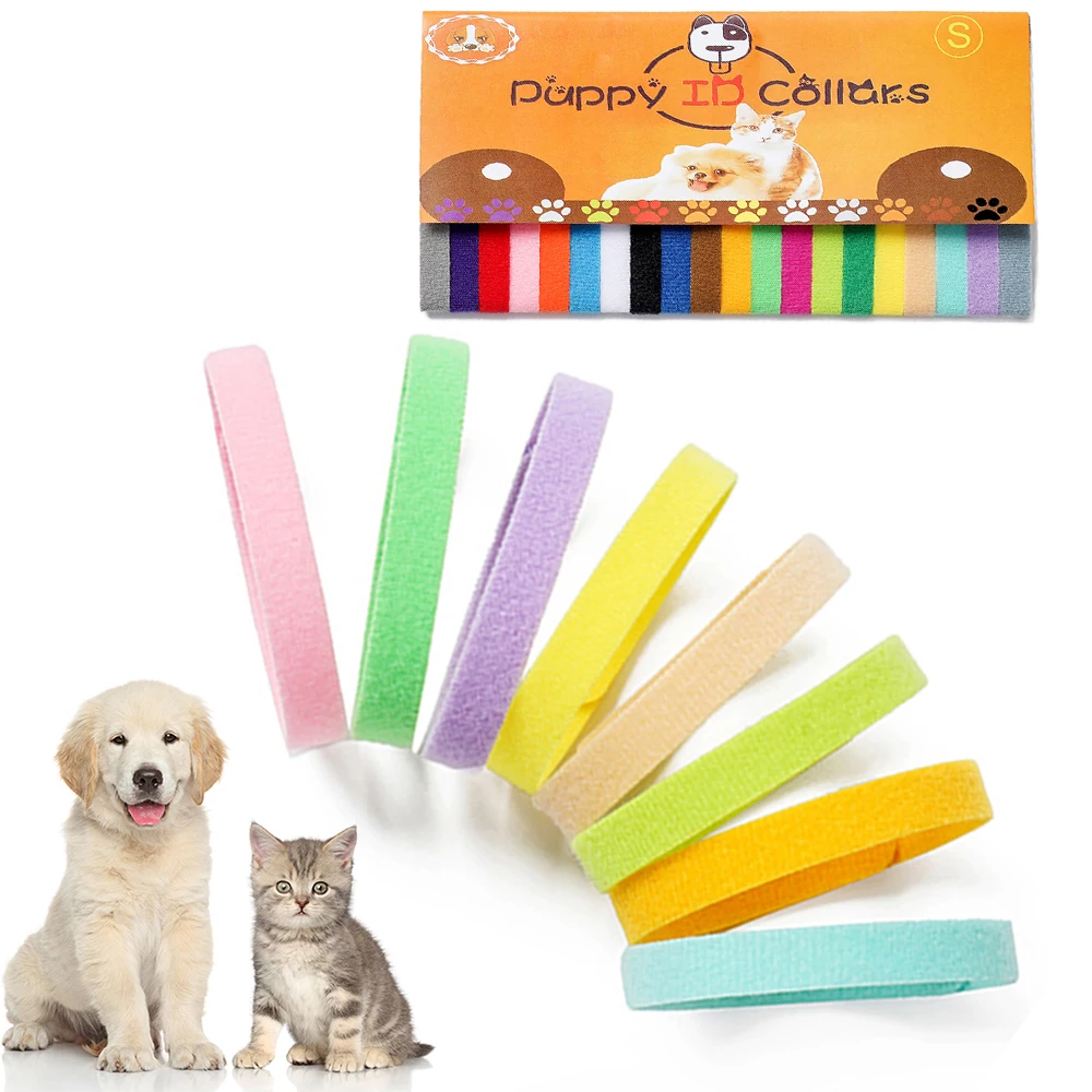Идентификационный ошейник для домашних питомцев котят идентификационный милых