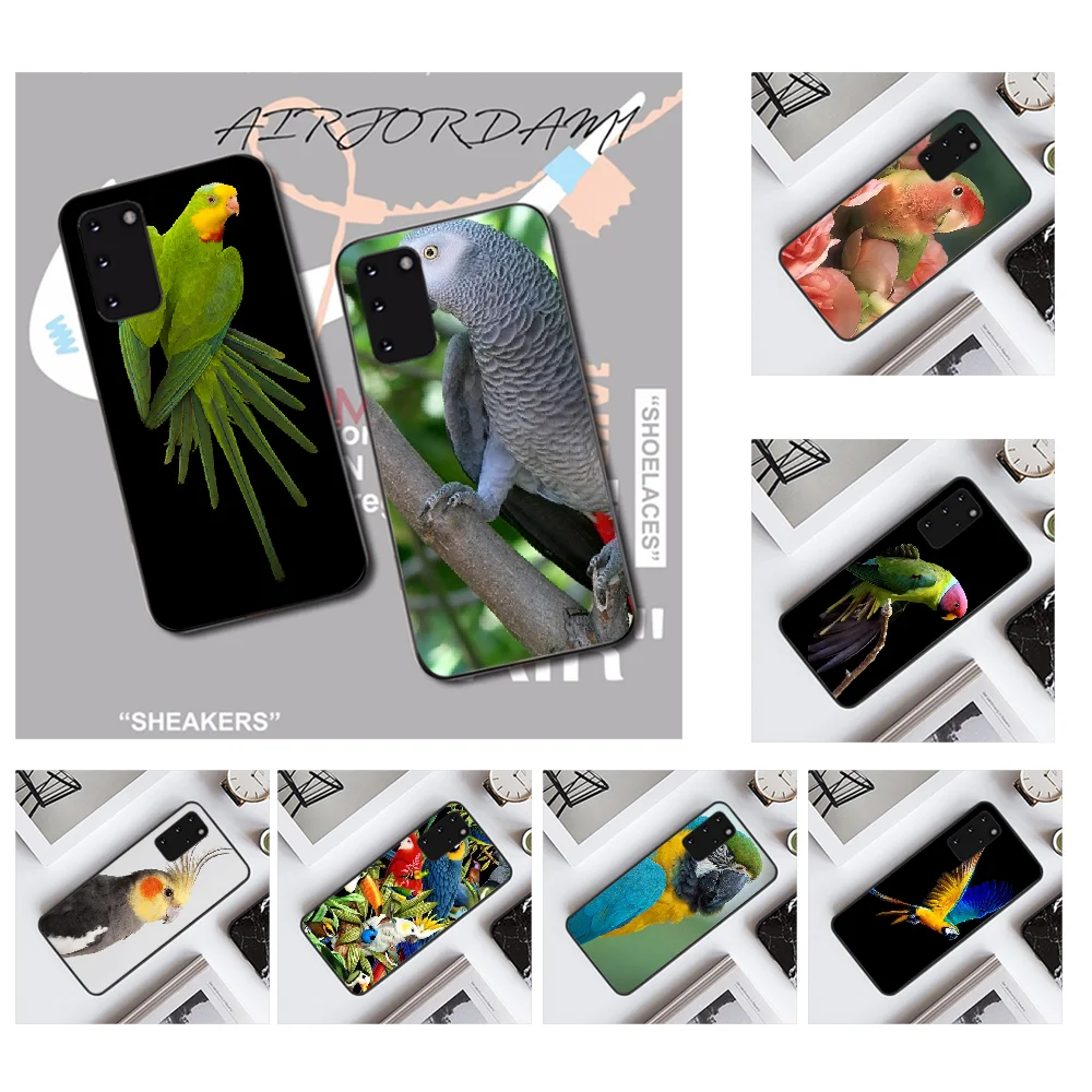 NBDRUICAI чехол в виде попугая черный мягкий для телефона Samsung S20 plus Ultra S6 S7 edge S8 S9 S10 5G |