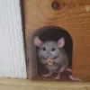 Изображение товара 0