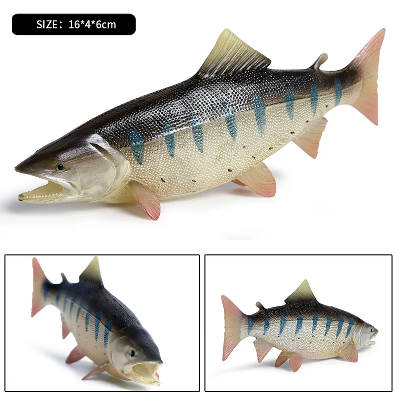 Oenux морские рыбки животные модель моделирование SeaLife Coelacanth Sailfish Фигурки ПВХ аквариум реалистичные Развивающие детские игрушки