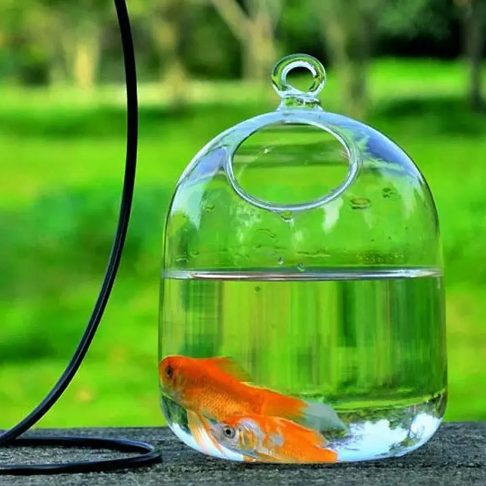 Ручная работа подвесные вазы миска для рыб прозрачные настольные растения